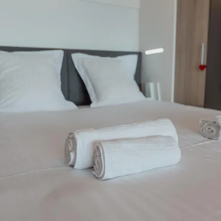 Renove Avec Vue Imprenable Sur Les Alpes * Crans-Montana