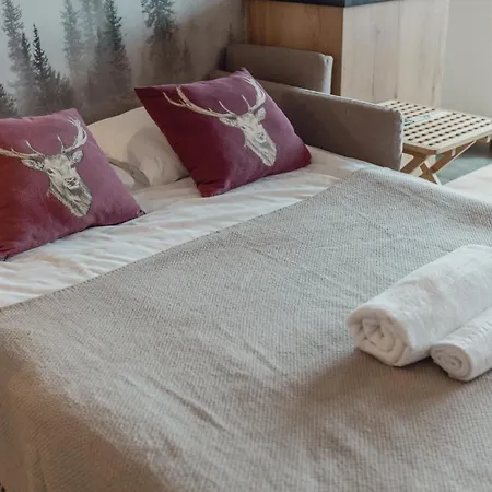 Renove Avec Vue Imprenable Sur Les Alpes * Crans-Montana