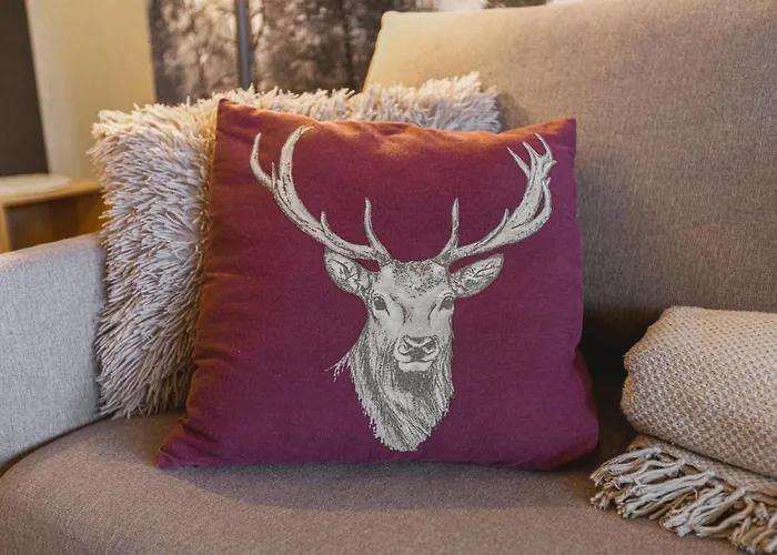 Appartamento Rénové Avec Vue Imprenable Sur Les Alpes *